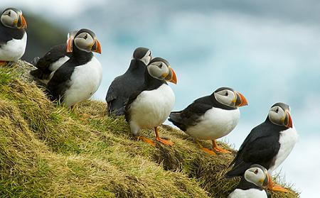 Click to get this image from alamy