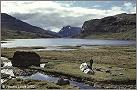 jotun09-t.jpg