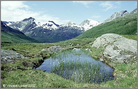 romsdal23.jpg