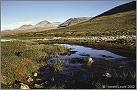 rondane04-t.jpg