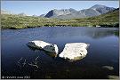 rondane09-t.jpg