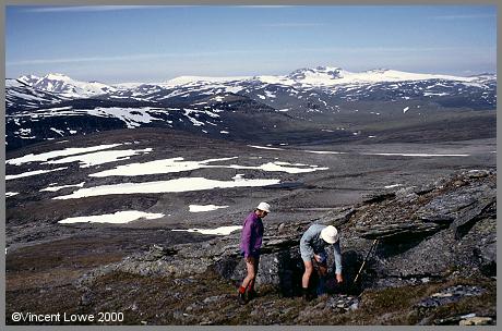 sulitjelma14.jpg