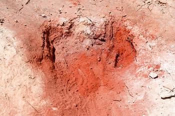 Click to get this image from alamy