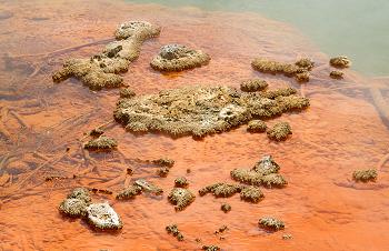 Click to get this image from alamy