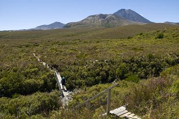 Click to get this image from alamy