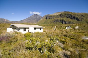 Click to get this image from alamy