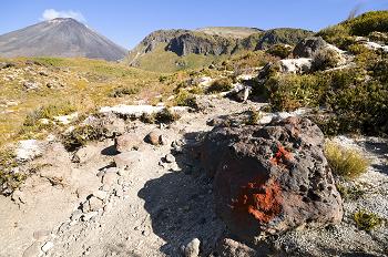 Click to get this image from alamy