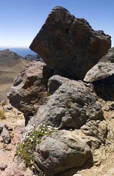 Click to get this image from alamy