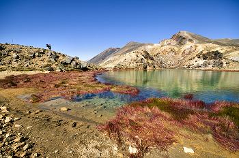 Click to get this image from alamy