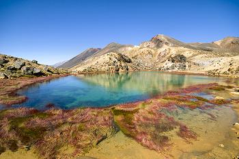 Click to get this image from alamy