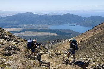 Click to get this image from alamy