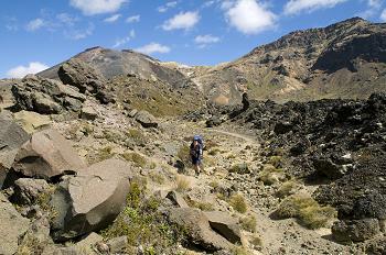 Click to get this image from alamy