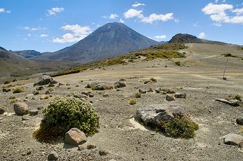 Click to get this image from alamy