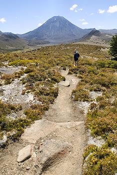 Click to get this image from alamy