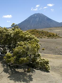 Click to get this image from alamy