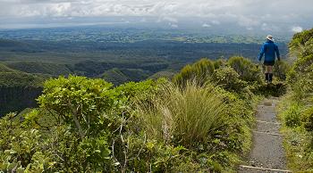 Click to get this image from alamy