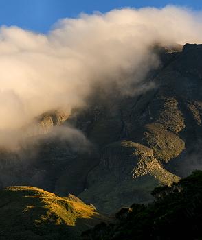 Click to get this image from alamy