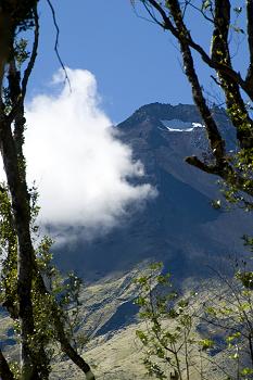 Click to get this image from alamy