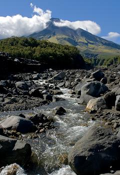 Click to get this image from alamy