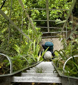 Click to get this image from alamy