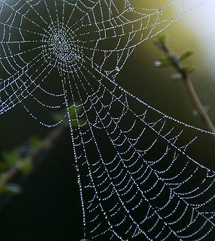 Click to get this image from alamy