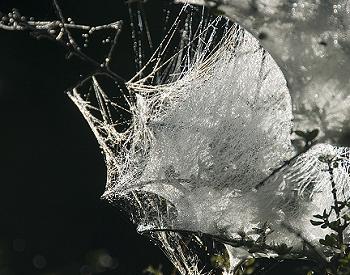 Click to get this image from alamy