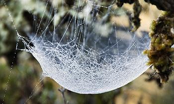 Click to get this image from alamy