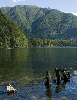 Click to get this image from alamy