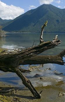 Click to get this image from alamy