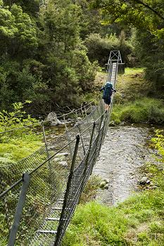 Click to get this image from alamy