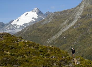 Click to get this image from alamy