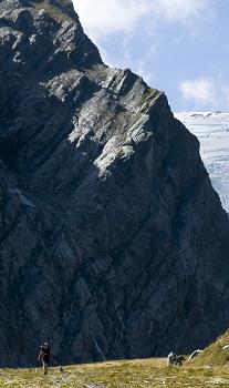 Click to get this image from alamy