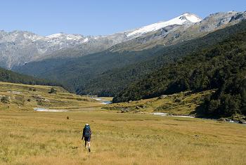 Click to get this image from alamy