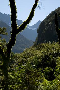 Click to get this image from alamy