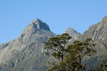 Click to get this image from alamy