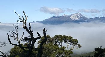 Click to get this image from alamy