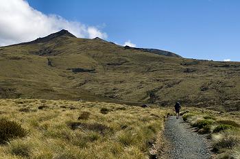 Click to get this image from alamy