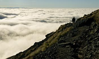 Click to get this image from alamy