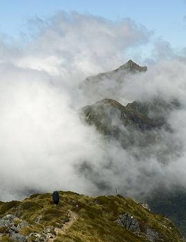 Click to get this image from alamy