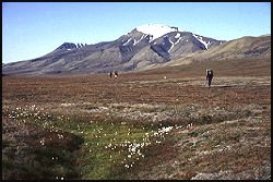 Helvetiafjellet