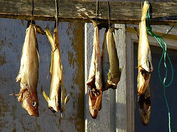 Click to get this image from alamy