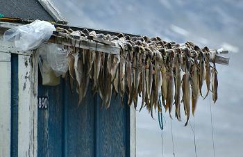 Click to get this image from alamy