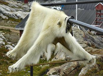 Click to get this image from alamy