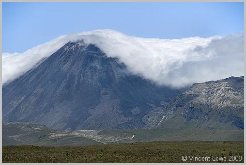 nzn-09.jpg