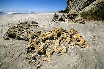 Click to get this image from alamy