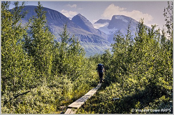 sarek-004.jpg
