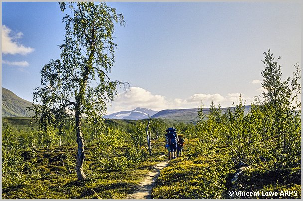 sarek-005.jpg