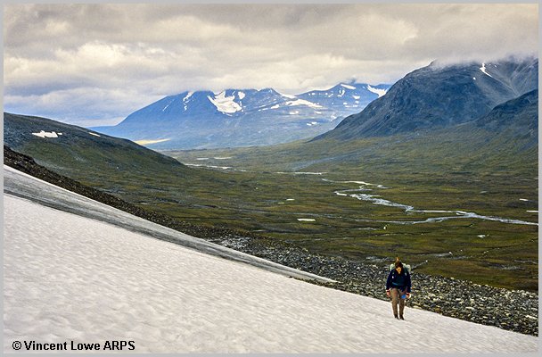 sarek-037.jpg
