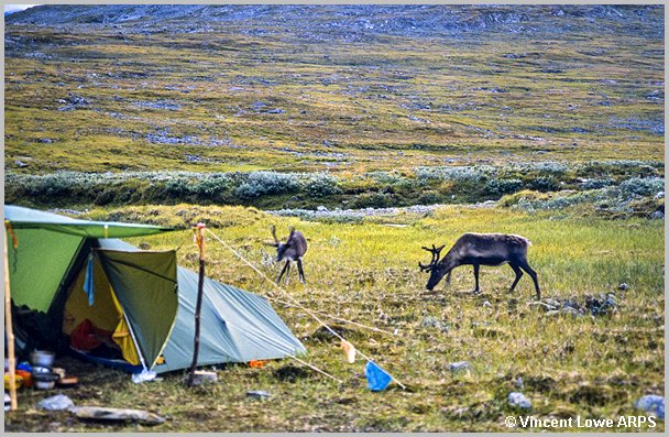 sarek-085.jpg