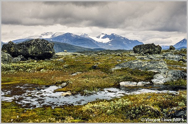 sarek-144.jpg